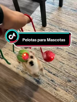 Toy PETs para Perros y Gatos #pets #toy #pettoys #viraltoys #dogsoftiktok 