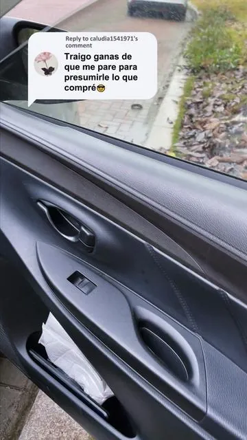 Replying to  Organiza tus documentos, nunca sabes cuando te van a parar. este organizador para los documentos importantes de tu carro y tiene espacio para todo. #cardocumentsholder #documentholder #caraccessories #insuranceandregistrationholder#1F