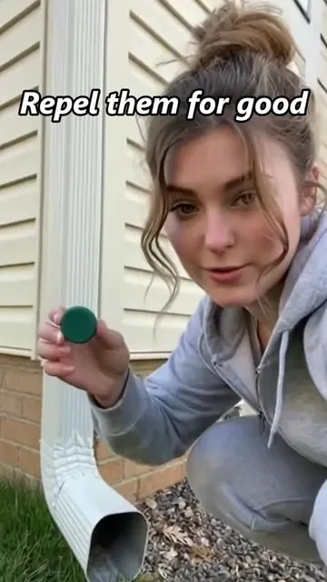 Keep pests OUT without traps or mess 🚫🐭 The Atindirey Mouse & Rat Repellent Balls (12-Pack) use a strong natural scent to help repel rodents from homes, garages, cars, and storage areas. Simple, clean, and set-it-and-forget-it.#PestControl #RodentRepellent #HomeHacks #CleanHome #TikTokShop