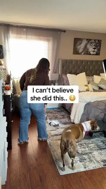 Hands down the best stick vaccum! He ended up loving it! #sharkvacuum #sharkpowerproflexreveal #stickvacuum #tiktokshopspringglowp #tiktokshopcreatorspicks 