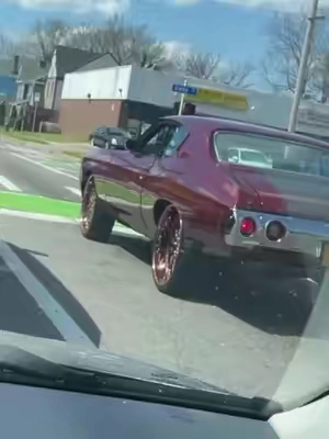 WHAT WAS THAT SOUND!? 😂 #cars 