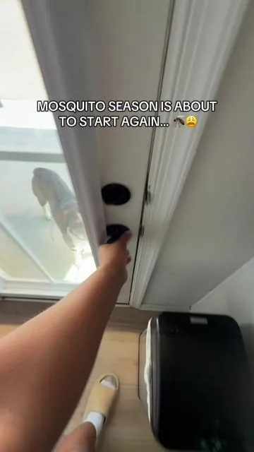 Being able to sit outside on your back patio without mosquitoes ruining it is undefeated… this solar bug zapper made that possible last summer  #bugzapper #zapper #solarbugzapper #campinghacks #bugzappermosquito 