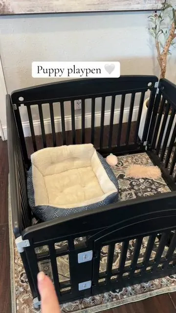 Setting up a little pet zone like this makes life so much easier. Keeps everything contained but still gives them space to move around. #tiktokshopcreatorpicks #puppyplaypen #dogplaypen #puppysetup #dogmomlife 