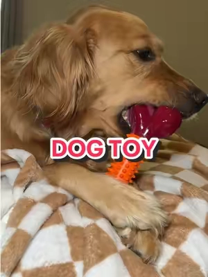 #dogtoy #goldenretriever #chewtoy #durabledogtoys #tiktokmademebuyit 