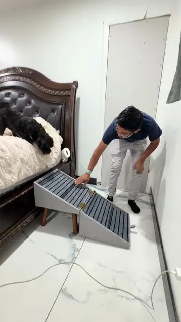 Escalera para perros, 