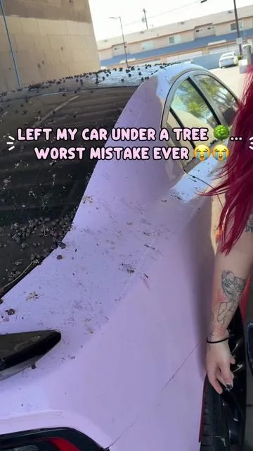 Left my car under a tree… big mistake.. 😔#cargirl #carvids02 #pinkcharger #ttshop #carwash 