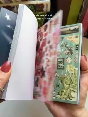 the prettiest sticker books #stickers #scrapbook #junkjournal #stickerbook #sticker 