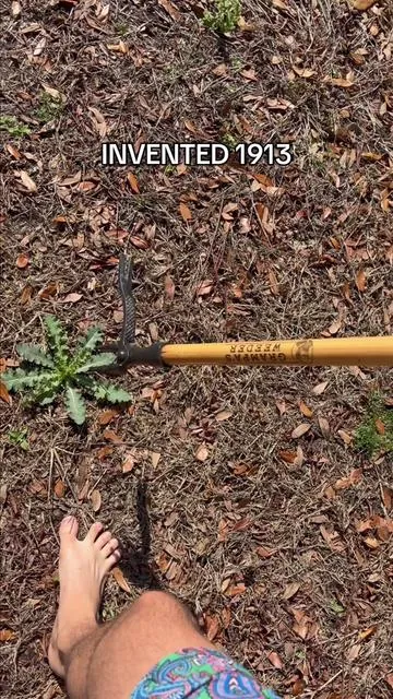 #grampasweeder #gardentool #lawncaretools #lawncare #tiktokshopcreatorpicks 