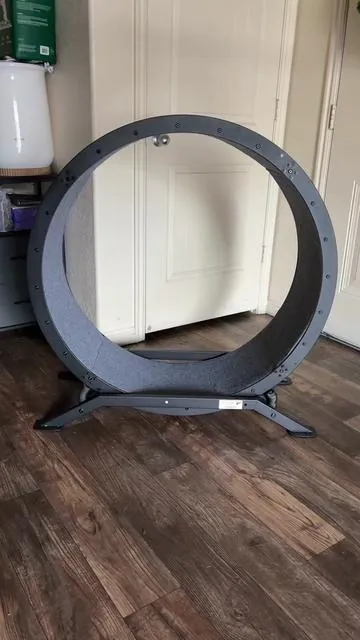 Rueda de ejercicio para gatos de 40 pulgadas de diámetro. Funciona como una caminadora o rueda tipo hámster pero en tamaño grande diseñada para el uso dentro del hogar. Tiene 49% de descuento del envío gratis. Te interesa te lo voy a dejar aquí en el carrito 🛒 naranja que aparece arriba de mi nombre está disponible en otros colores #cat #cats #gatos #pet #fyp 