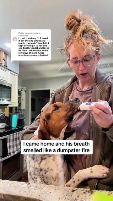 Replying to @raeraewww this is the best product I have used for bad breathe @Tevrabrands  . #twistandlick #tevra #tevrapet #dogdentalgel #tiktokshopfinds 