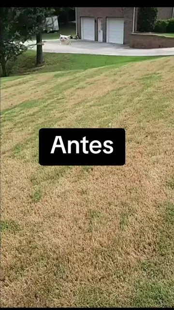 #lawn #yardero #cesped #fertilizantes #construction 
