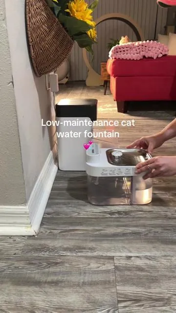 This fountain is designed differently. Clean water is stored separately, while dirty water goes into its own tank—so your cat always has access to fresh water. Rechargeable, cordless, stainless steel bowl, and motion sensor or continuous flow options make this a great choice for busy cat parents. #catwaterfountain #catlovers #catmom #tiktokshopcreatorpicks #TikTokShopSpringGlowUp 