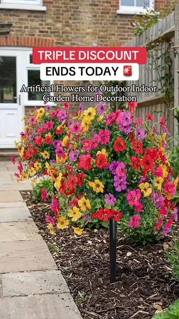 Amazing deal omg 😳 