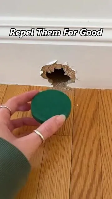 Keep pests OUT without traps or mess 🚫🐭 The Atindirey Mouse & Rat Repellent Balls (12-Pack) use a strong natural scent to help repel rodents from homes, garages, cars, and storage areas. Simple, clean, and set-it-and-forget-it.#PestControl #RodentRepellent #HomeHacks #CleanHome #TikTokShop