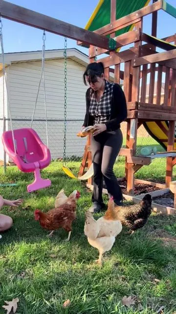 Traen para todo un año o mucho mas… de verdad se los recomiendo mucho… #tiktokshop #gallinasponedoras #gallina #granja 