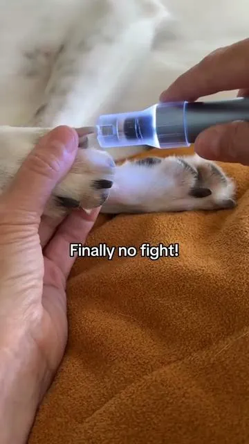 This is the easiest way to cut your dog’s nails with no fighting 🥊 🐶😉 #dognailclipping     #fanttik #fanttiknewarrivals #dognailgrinder #tiktokshopcreatorpicks 