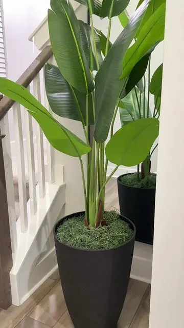 Love this plant. 🌱  I purchased the pot and the moss separately.  #artificialplants #birdofparadise #homedecor 