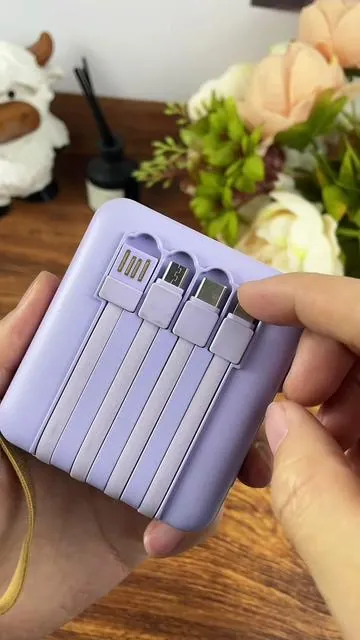 One power bank. Zero stress. #charmast #powerbank #4in1charger #portablecharger #traveltips 