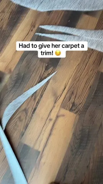 It’s actually so handy! #cardboard #carpet 