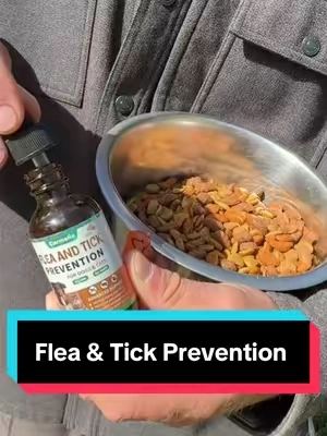 Flea & Tick Season is Here! Carmelie Flea & Tick Support Drops for Dogs & Cat #fleaandtickprevention, #dogsupplements, #petlovers, #tiktokshopcreatorpicks, #tiktokshopspringglowup 