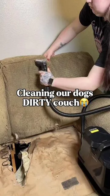 This is what happens when you let dogs have a blast😭🐾  #realistic #uwant #dogsoftiktok #deepclean #cleaningtok  