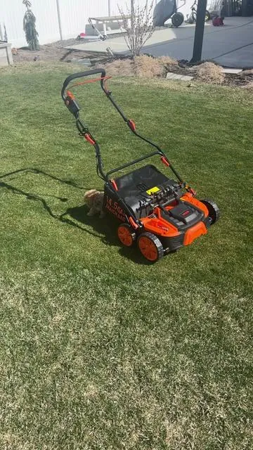 VEVOR finally came out with their electric detacher. This one has the largest deck on the market with a powerful 15 amp motor #Lawn #LawnCare #Grass #VEVOR #TikTokShopSpringGlowUp 