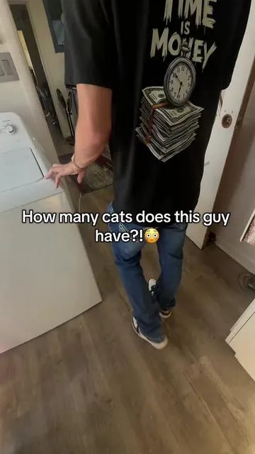 Wow! This one is better than the rest! …and cheaper😮‍💨#selfcleaninglitterbox #petpivot #autoscooper12 #petpivotlitterbox #catlovers 