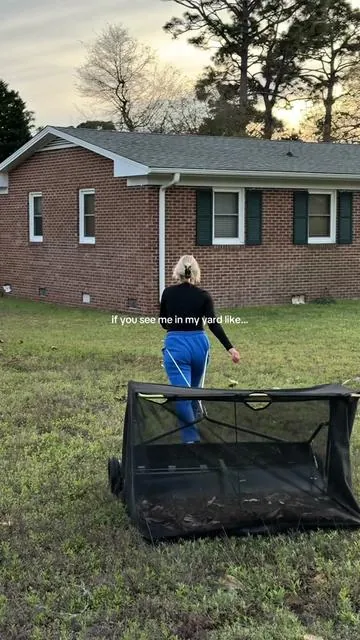 I’ll just be here cleaning my yard in the literal most satisfying way ever 😮‍💨🤭🍂💫  #lawnsweeper 