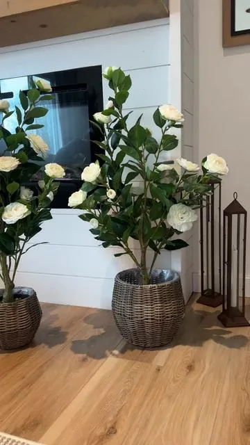 They’re so pretty 🥹🪴🤍 #tiktokshopcreatorpicks #tiktokshopspringglowup #homedecor #springbreak #greenish 