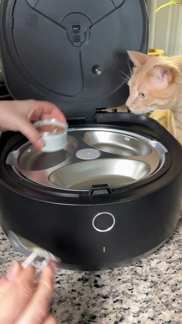 If you have a cat that expects wet food right on schedule, you know the pressure. This refrigerated feeder fr PETLIBRO stores the meals safely and serves them automatically when it’s time. The cooling system keeps food fresh for days, and you can schedule everything through the app. #catmomlife #catroutine #tiktokshopcreatorpicks #TikTokShopSpringGlowUp #Greenish 