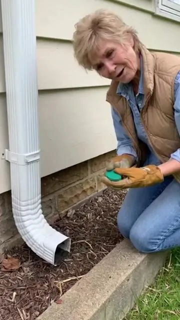 Say goodbye to secondary pollution! If you have children or pets at home, this rodent repellent is definitely worth a try! #rodentrepellent #plantrepellent #avoidtheproblems #homeproductsharing#Rats