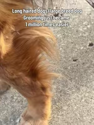 For big breeds and long-haired dogs, this makes home grooming way less messy and a lot more manageable. #DogGrooming #LongHairedDogs #BigBreedDogs #PetHairVacuum #TikTokShopSpringGlowUp 