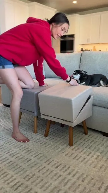 The dog stairs that turn into an ottoman so you don’t have to have big obtuse ones in the way! #dogstairs #petstairs #tiktokshopspringglowup 