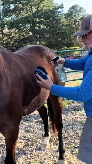 Avon Skin so Soft is All I Use on My Horses to Repel Flies and Mosquitoes! 2-Pack Skin So Soft Original Bath Oil #avon, #flies, #horsetok, #tiktokshopcreatorpicks, #tiktokshopspringglowup 