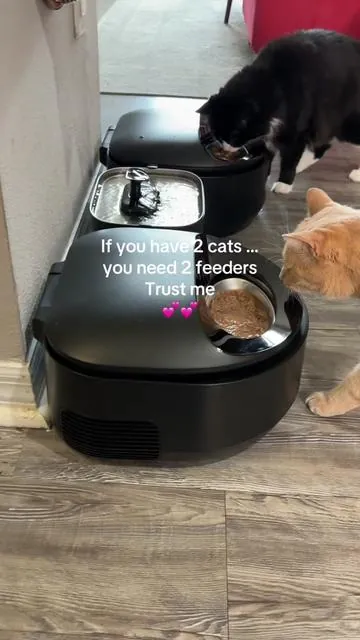 This feeder is designed specifically for safe wet food and it gives real peace of mind when you can’t be home for every meal. If you’ve ever wondered how to feed your cat wet food when you’re not home, this is the safest setup I’ve found. This refrigerated feeder keeps wet food cold and serves meals automatically on schedule, so your cat stays on routine even if you’re away overnight or traveling. I control everything from my phone, which makes it perfect if: • you work long hours • you travel • your cat sitter cancels • you don’t want wet food sitting out #tiktokshopcreatorpicks #TikTokShopSpringGlowUp #Greenish  