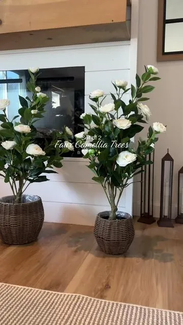 They’re stunning 🥹✨ #tiktokshopcreatorpicks #tiktokshopspringglowup #fauxplants #homedecor #springbreak 