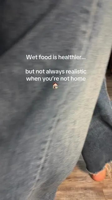 If you feed wet food, you know the struggle… you can’t just leave it out all day. The Petlibro Polar refrigerated feeder keeps wet food fresh for up to 3 days using semiconductor cooling and serves up to 3 scheduled meals automatically through the app. No rushing home. No spoiled food. Since it got it, it’s the first time I can sleep in without 5am begging. #catfeeder #wetfoodfeeder #automaticcatfeeder #tiktokshopcreatorpicks #TikTokShopSpringGlowUp  