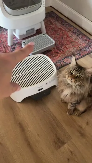 If you bought a litter step and it felt too small… same. This one is way bigger so it actually helps them get in and out without kicking litter everywhere. The size alone made a huge difference for us. It does have a built-in air purifier too, but honestly the step size is what sold me. #catlitterbox #catlitter #petpivot #catlover #tiktokshopfinds 