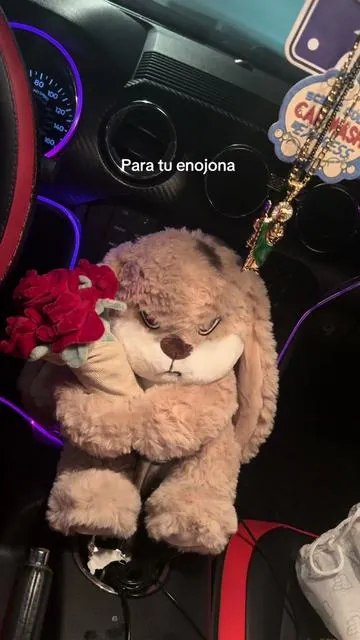 #peluche #enojado #novios #parejas #dedicar 