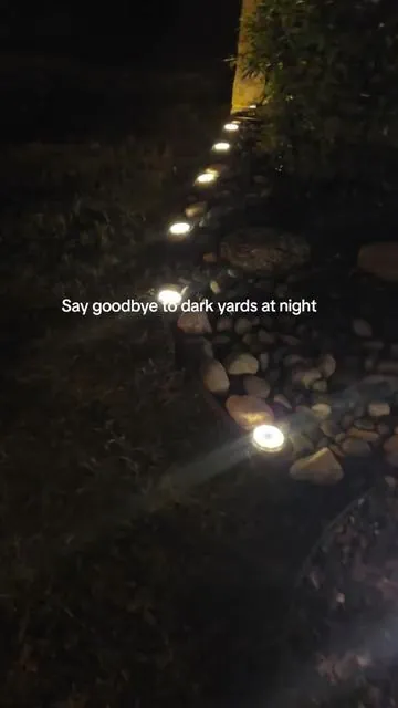 These solar ground lights are one of the easiest ways to upgrade your yard, no wiring, automatic lighting, and they give off a clean warm glow at night. #outdoorlighting #gardenlights #solarlights #outdoorsolarlight #greenish 