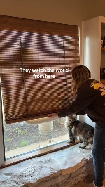 If your cat is constantly trying to look outside… this is why. Gives them the perfect spot without destroying your blinds #cathammock #catmusthaves #catproducts #catsoftiktok #catlovers 
