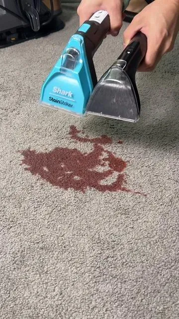 Which is the best stain remover? #stainremover #stains #greenish #petstains #deals 