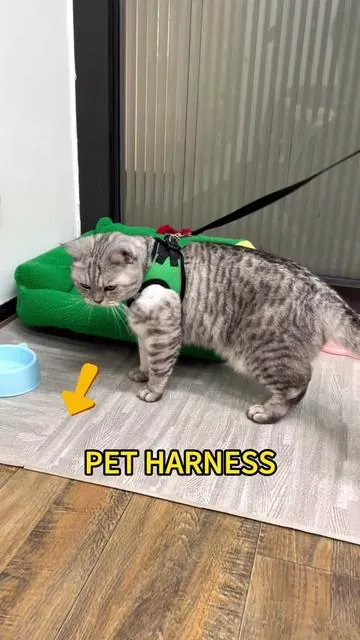 If your cat hates harness…this one will change everything . #catharness #tiktokshopcreatorpicks #catsoftiktok #cat #catslovers 