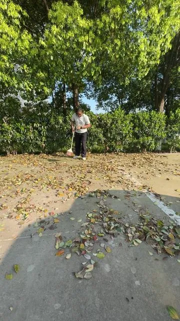 Creo que tu jardín lo necesita mucho.#tool #snowblower #leafblower #tiktokshopcreatorpicks #tiktokshopspringglowup 