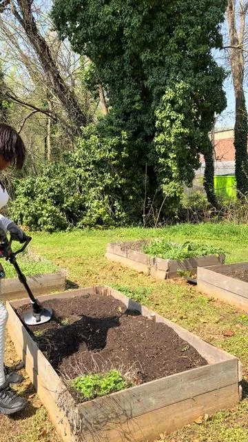 Listen don’t even think about it, best investment you’ll make I PROMISE!!! #gardening #tiller #zone8a 