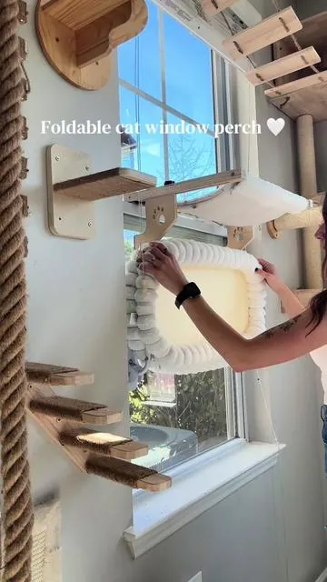 I found one that holds my 20lb maincoon and my little korat #cathammock #catwindowperch #catwindowbed #foldablecatbed #petmusthaves 