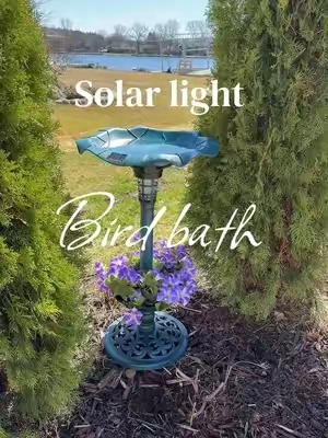 These are so beautiful. Perfect Mother’s Day gift or addition to your outdoor decor #birdbath #outdoordecor #solarlight 