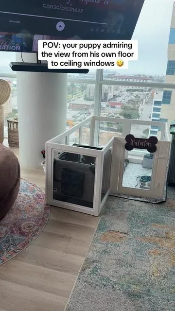 He loves his LA studio apartment🤣🤣😂