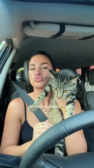 Does this officially make me a crazy cat lady? 😹 #catharnessandleash #catsoftiktok #catharnesstraining #catharness #catlover 