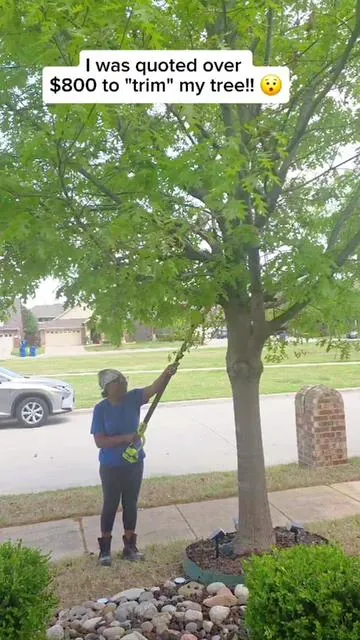 Tree trimming doesn’t have to cost hundreds, this cordless pole saw makes it easy to handle it yourself. #tiktokshopspringglowup #seese #treetrimmimg #powertools #yardwork 